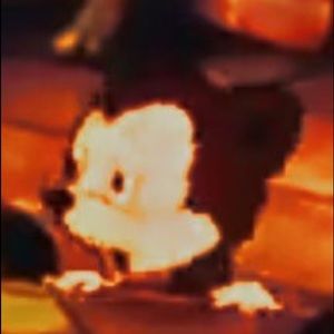 Meet your Posher, Maya